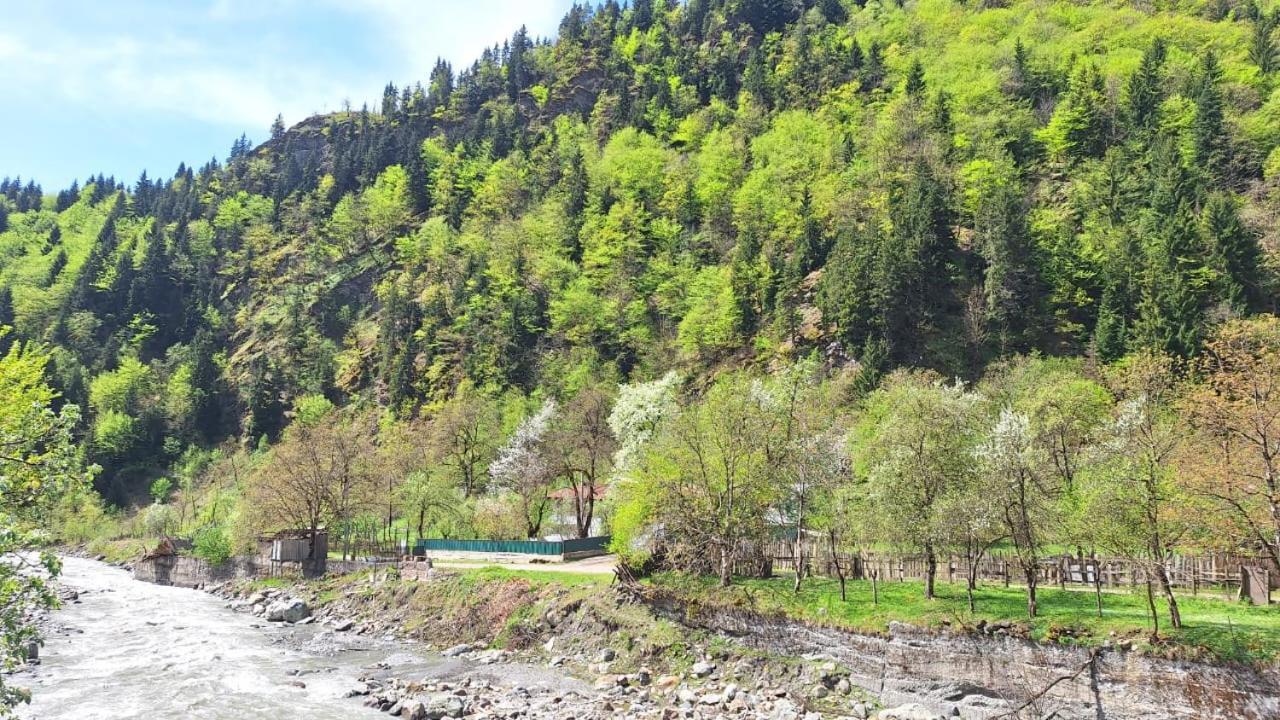 Guest House "Svaneti" Lentekhi Kültér fotó