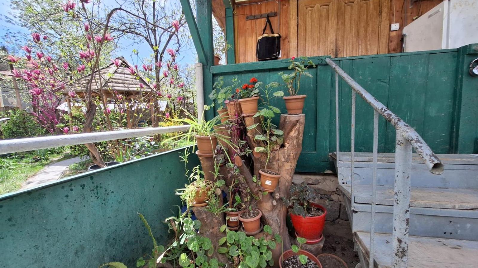 Guest House "Svaneti" Lentekhi Kültér fotó