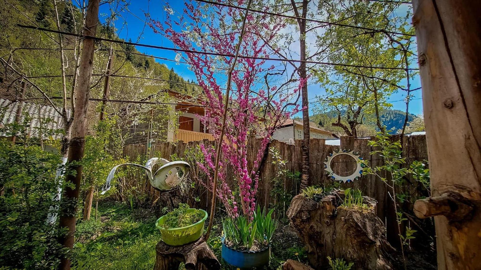 Guest House "Svaneti" Lentekhi Kültér fotó